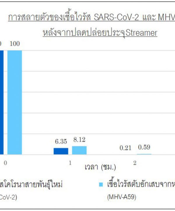 Streamer_Graph