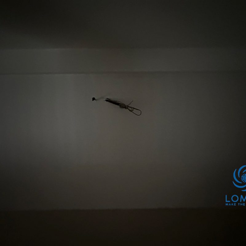 S__93798422_0