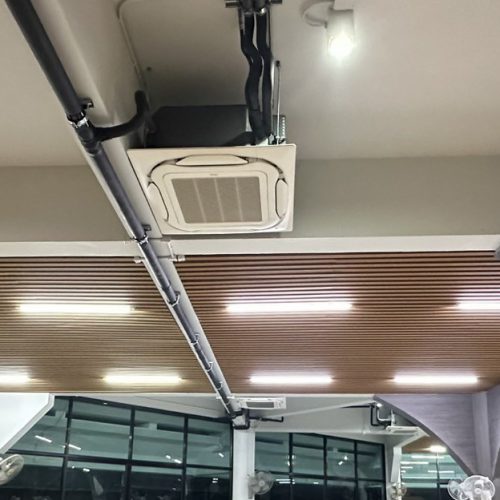 S__102834186_0 S__102834186_0