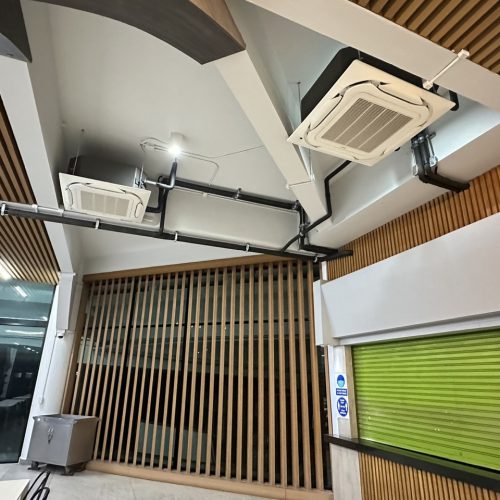 S__102834188_0 S__102834188_0