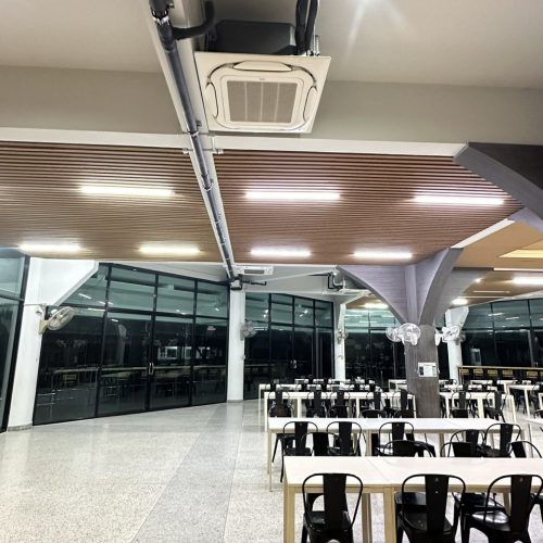 S__102834195_0 S__102834195_0