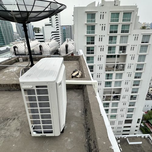 S__87859204_0 S__87859204_0