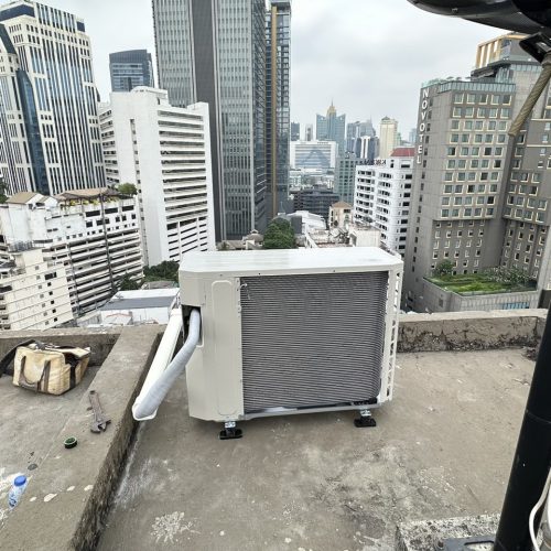 S__87859206_0 S__87859206_0